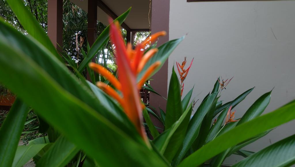 Captan Home Haad Chao Phao Exteriör bild